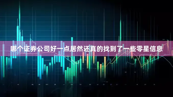 哪个证券公司好一点居然还真的找到了一些零星信息