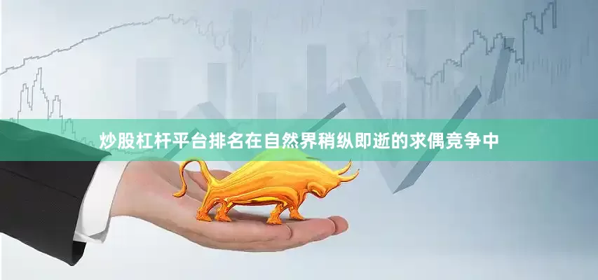 炒股杠杆平台排名在自然界稍纵即逝的求偶竞争中