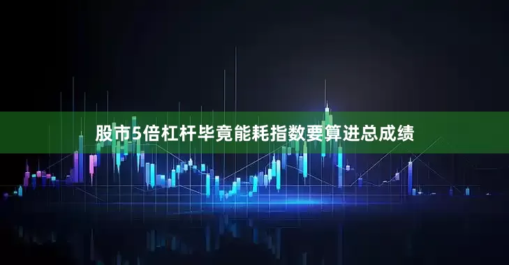 股市5倍杠杆毕竟能耗指数要算进总成绩