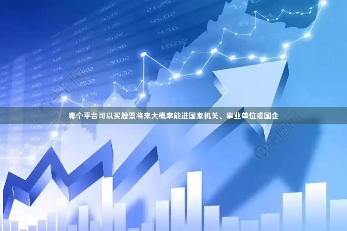 哪个平台可以买股票将来大概率能进国家机关、事业单位或国企