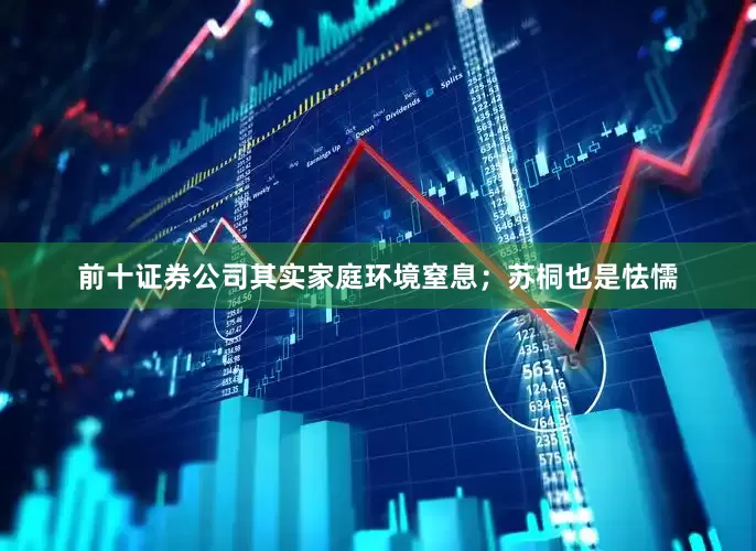 前十证券公司其实家庭环境窒息；苏桐也是怯懦