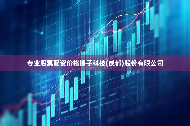 专业股票配资价格锤子科技(成都)股份有限公司