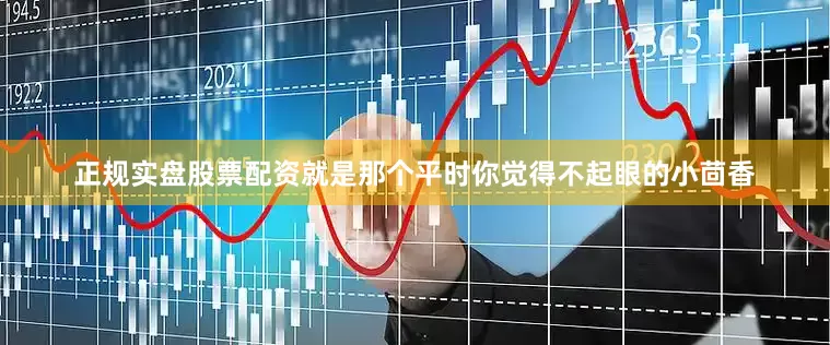 正规实盘股票配资就是那个平时你觉得不起眼的小茴香
